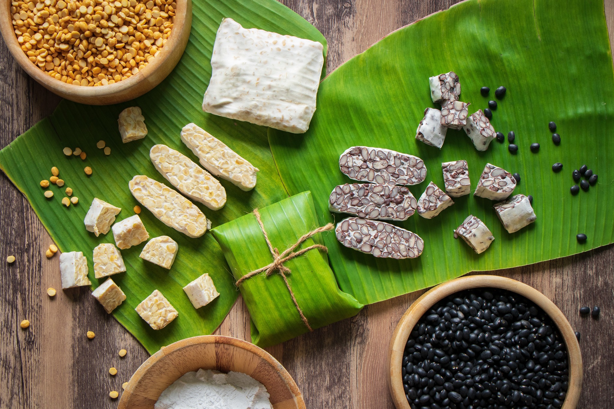 Tempeh House Chiang Mai
